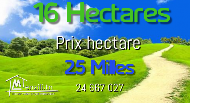 TERAIN A VENDRE A HAWARIA