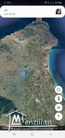 TERAIN A VENDRE A HAWARIA