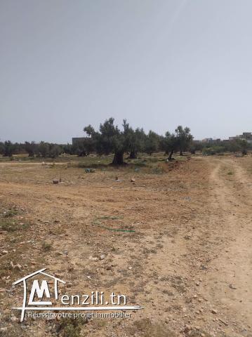 Titre bleu à vendre à sidi ameur sahline monastir