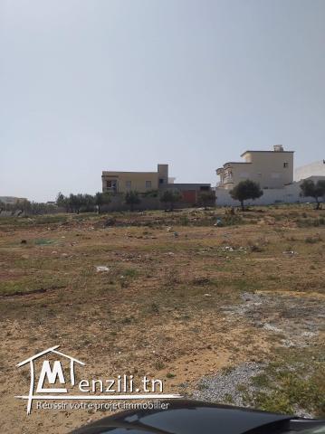 Titre bleu à vendre à sidi ameur sahline monastir