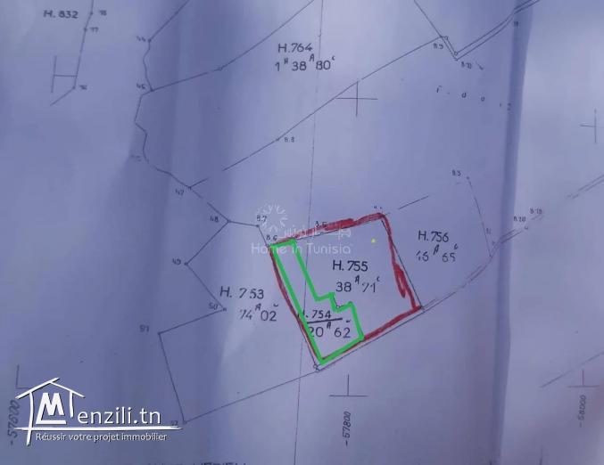 VENTE TERRAIN CHATT MERIEM de 2062 m2 