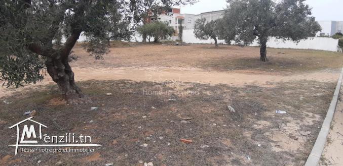VENTE TERRAIN CONSTRUCTIBLE CHATT MERIEM