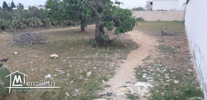 VENTE TERRAIN CONSTRUCTIBLE CHATT MERIEM