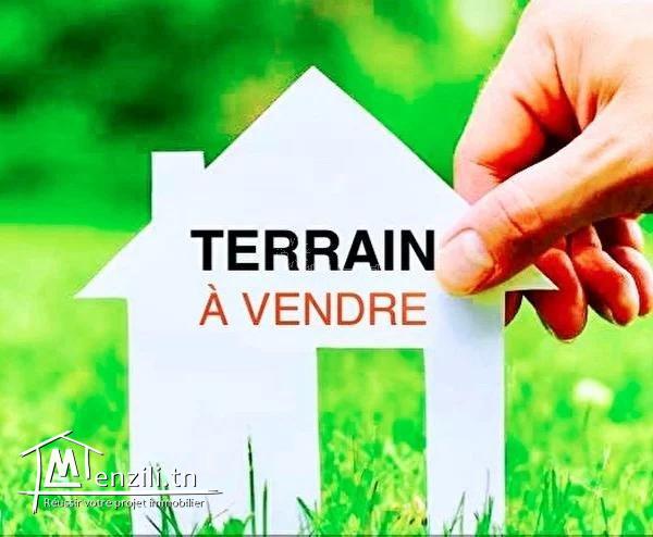 VENTE TERRAIN CHATT MERIEM de 560 m2 