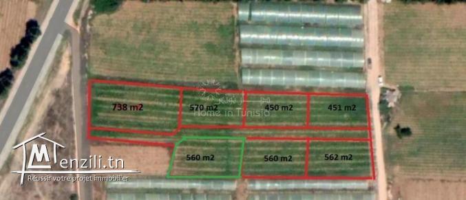 VENTE TERRAIN CHATT MERIEM de 560 m2 