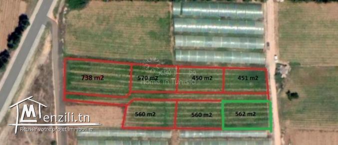 VENTE TERRAIN CHATT MERIEM