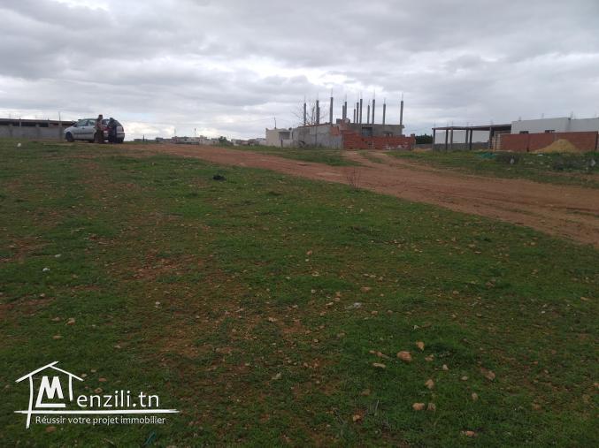 Terrain birine sidi hsssine