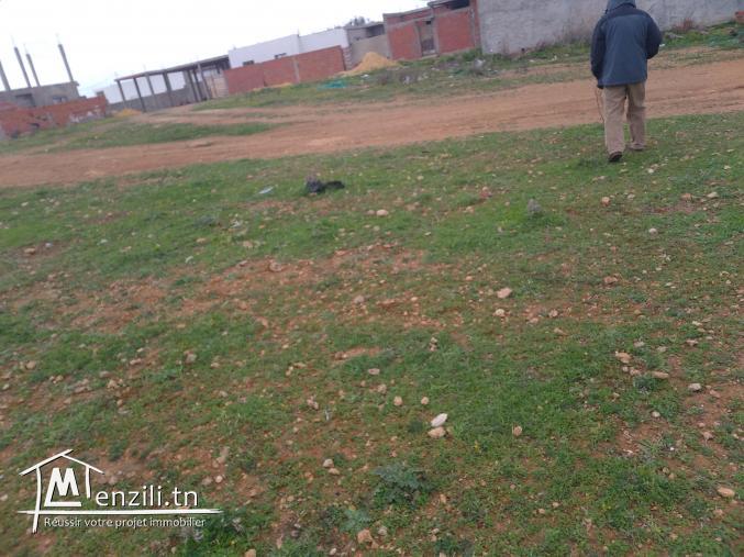 Terrain birine sidi hsssine