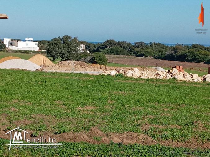 جبنالكم عرض هبال