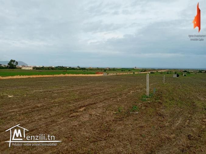 un terrain à vendre!!