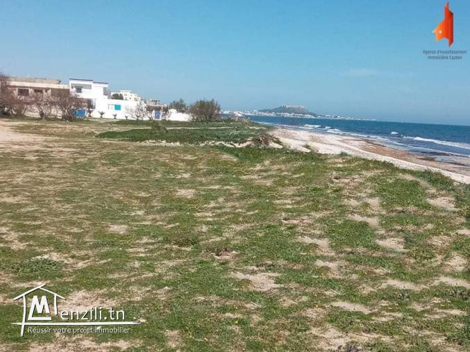 الافاريات متوفاش 