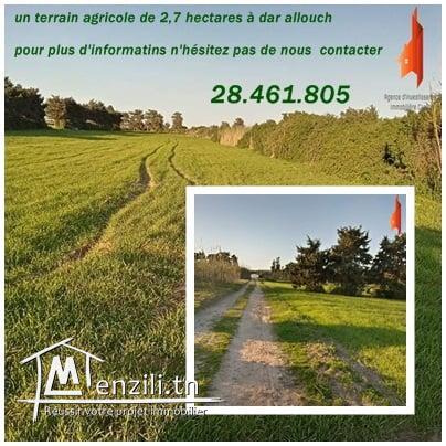 pour ceux qui aiment la nature!! profitez