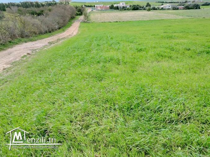 terrain à vendre !!