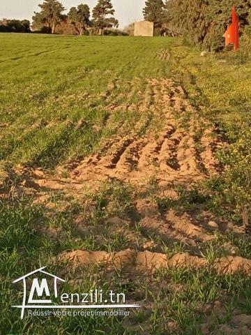 un terrain agricole à vendre!!