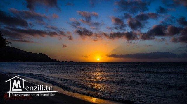 Villa ds 180m2 a la mer d'el haouaria cap bon