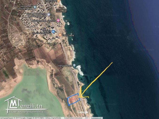 Terrain à vendre sur la route principale de Hergla