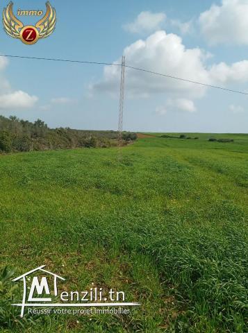 terrain à Menzil Brahim-kelibia