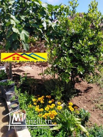 Maison ds 317m2 prés de la mer el haouaria 8045