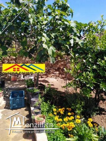 Maison ds 317m2 prés de la mer el haouaria 8045