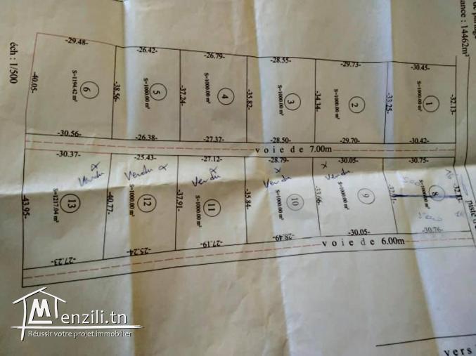 الافاريات متوفاش ????????️????