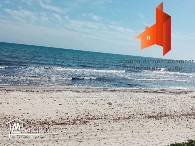 تقسيم جديد بقليبية على البحر مباشرة