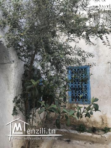 MAISON TYPIQUE (DAR ARBY)