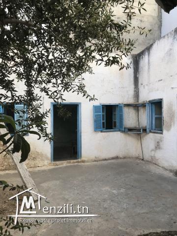 MAISON TYPIQUE (DAR ARBY)