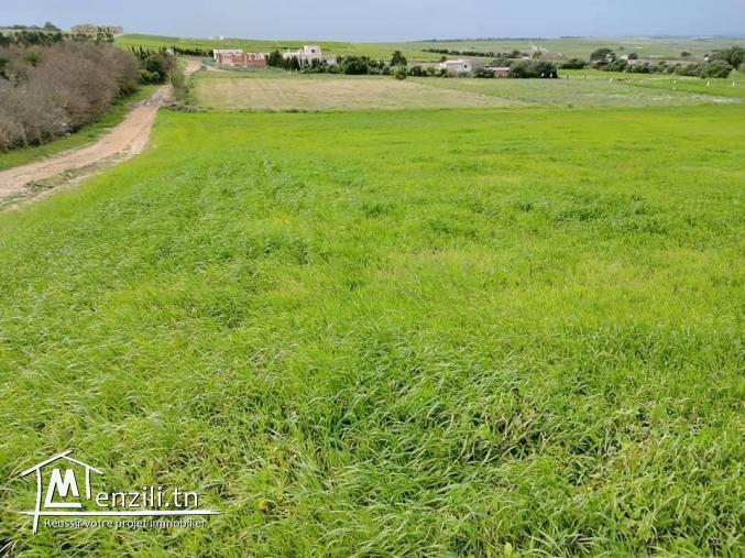 Terrain a vendre à tamozrat