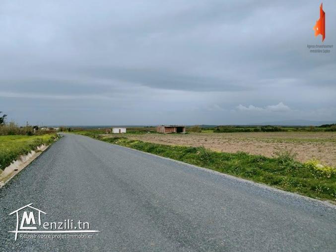 Terrain a vendre à tamozrat