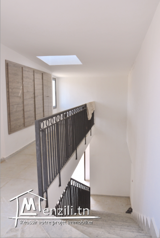 Location Bureaux Centre Ville Tunis