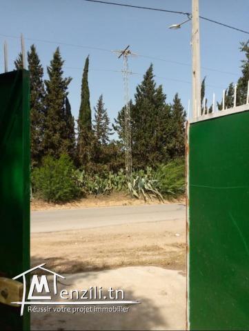 Deux grand terrains a vendre a Hammemt