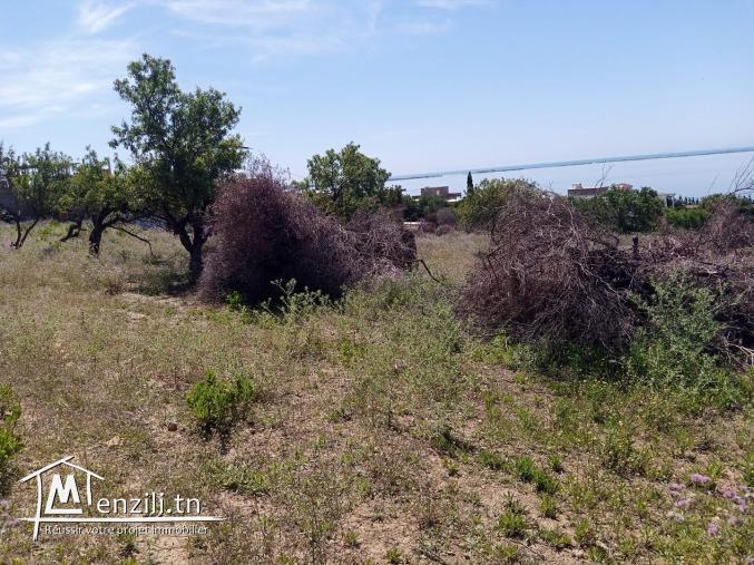 Terrain à vendre à Ghar El Melh