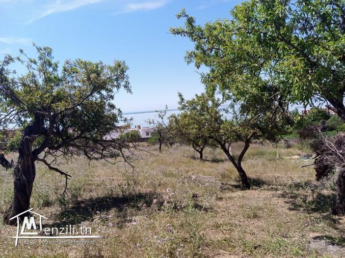 Terrain à vendre à Ghar El Melh