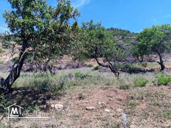 Terrain à vendre à Ghar El Melh