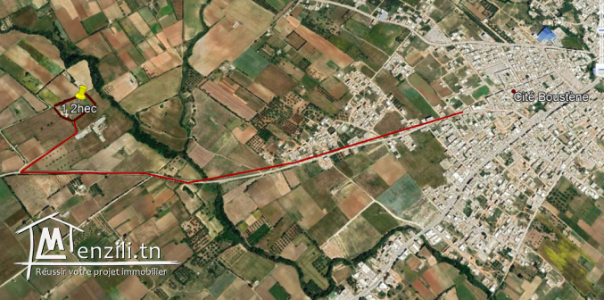 أرض فلاحية طريق" حاروري " قليبية