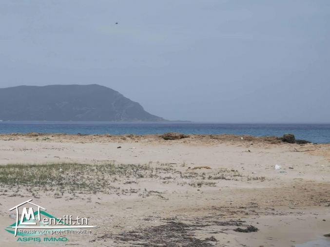 VT597:Trois lots de terrain à plage Kerkouene