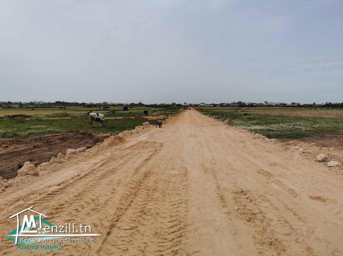 VT597:Trois lots de terrain à plage Kerkouene