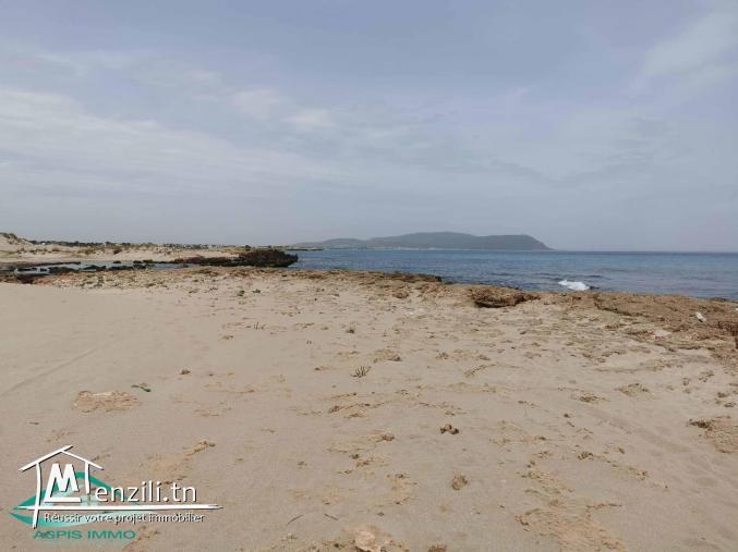 VT597:Trois lots de terrain à plage Kerkouene