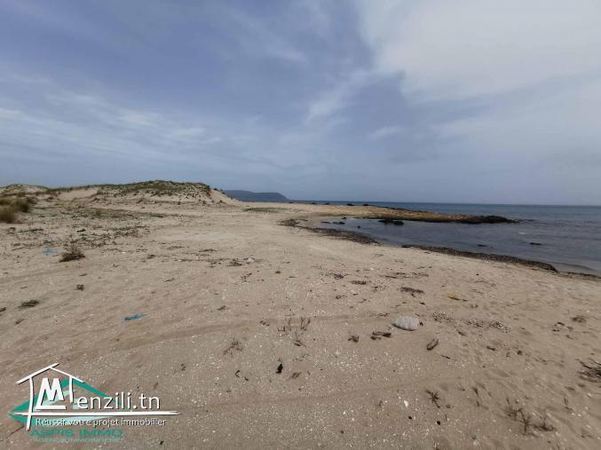 VT597:Trois lots de terrain à plage Kerkouene