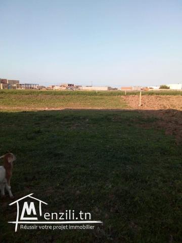 ارض للاستثمار مساحتها 3490 متر مربع