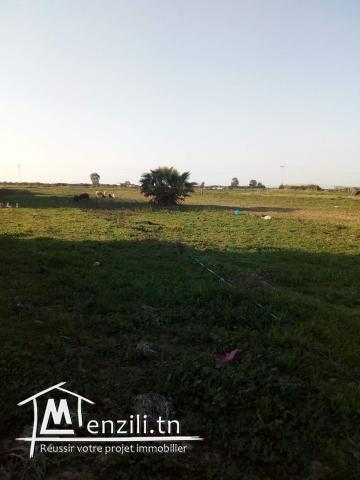 ارض للاستثمار مساحتها 3490 متر مربع