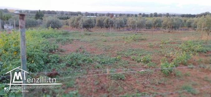 قطعة ارض للبيع مساحتها 470 متر