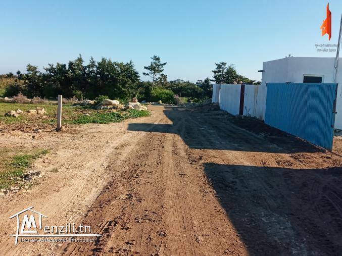 ✔ساحات  قريبة للبحر 