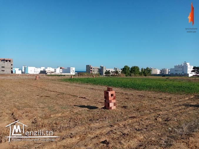 un nouveau lotissement vue de mer d’Ezzahra_kélibia