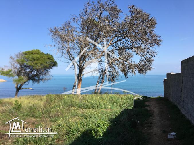 Terrain Vue Mer Gammarth