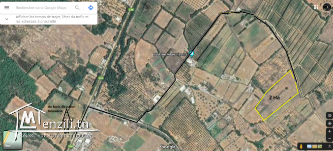 terrain agricole à vendre d un surface de 2 hectares 