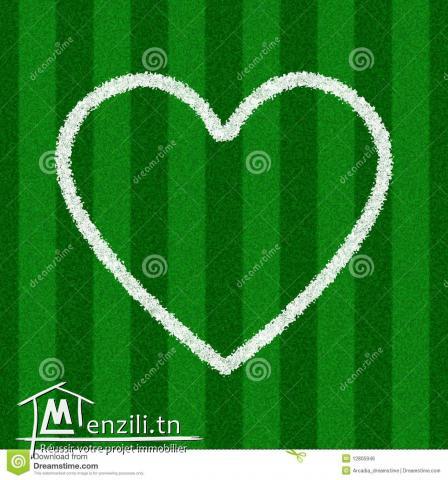 terrain au cité jeune près lycée téchnique a Gafsa