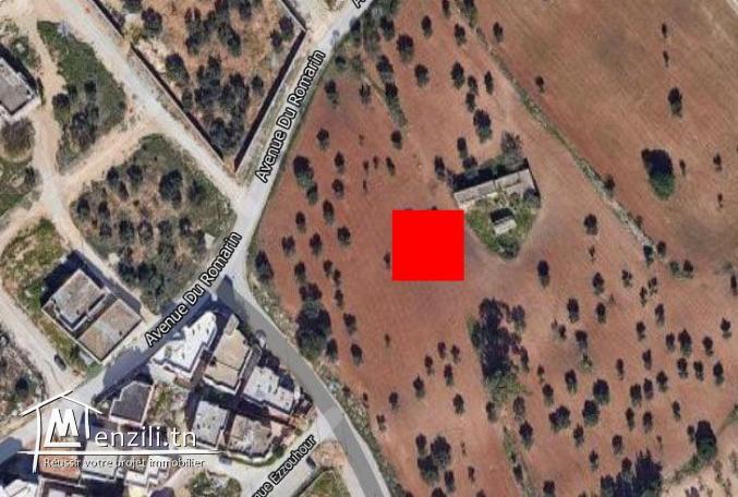 Terrain à Jardin d'el Menzah2