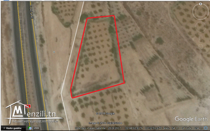 Terrain à kalaa-sghira, sousse