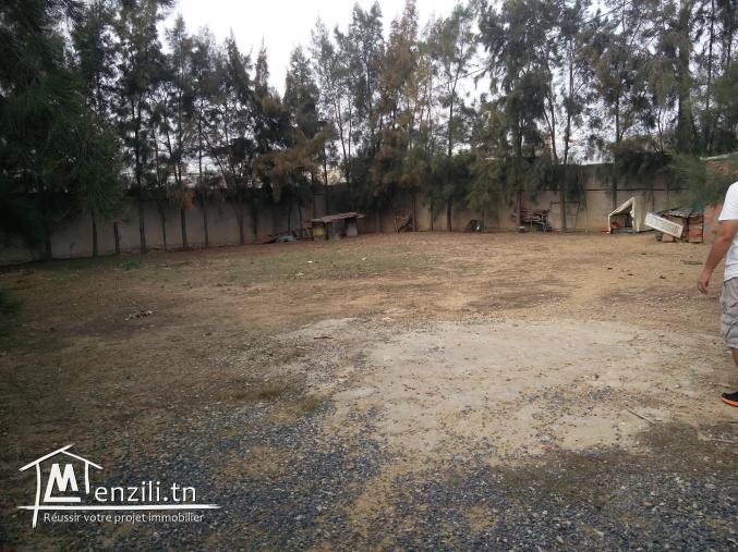 a vendre des terrains à la Marsa